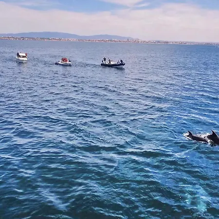 Eagles Nest By Algarve Vacation Вилла Албуфейра